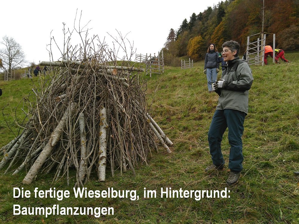 Naturschutztag_2021_22.jpg