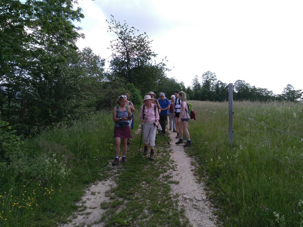Sommerwanderung_2021_01.jpg